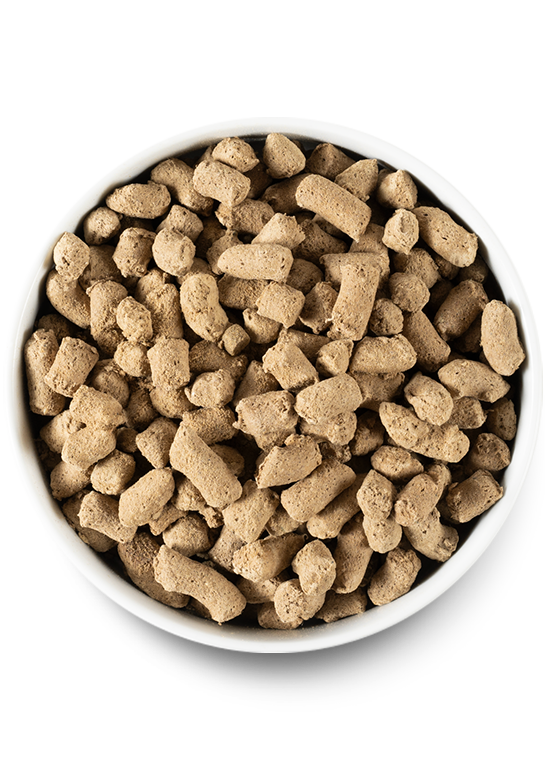 Open Farm Grass-Fed Beef Recipe Freeze Dried Raw Dog Food