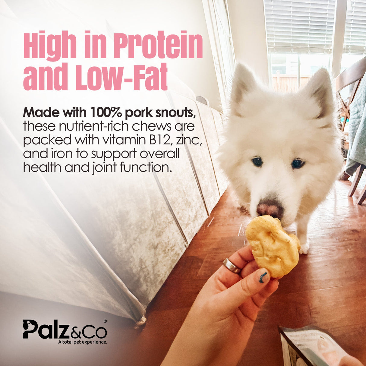 Palz&Co Hogdog Pork Snout Dog Treats, 5pk
