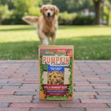 K9 Granola Factory Pumpkin Crunchers Apple & Cranberry Dog Treats