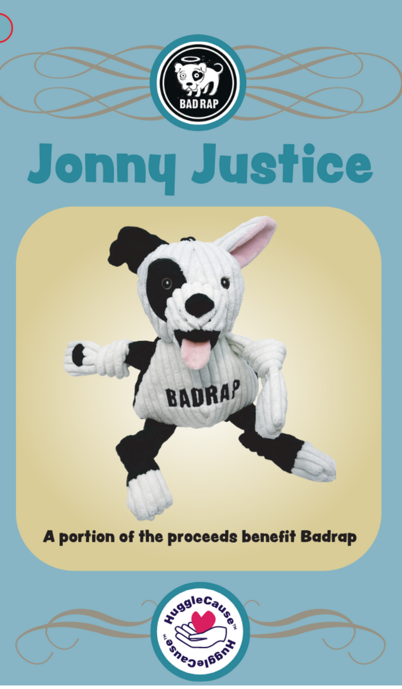 HuggleHounds HuggleCause Bad Rap Durable Squeaky Plush Dog Toy, Jonny Justice
