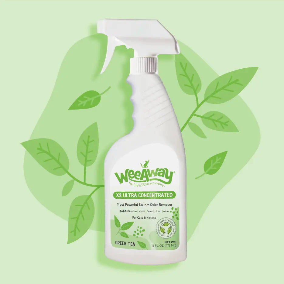 Wee Away X2 Ultra Concentrated Stain & Odor Remover For Cats & Kittens, Green Tea 16oz