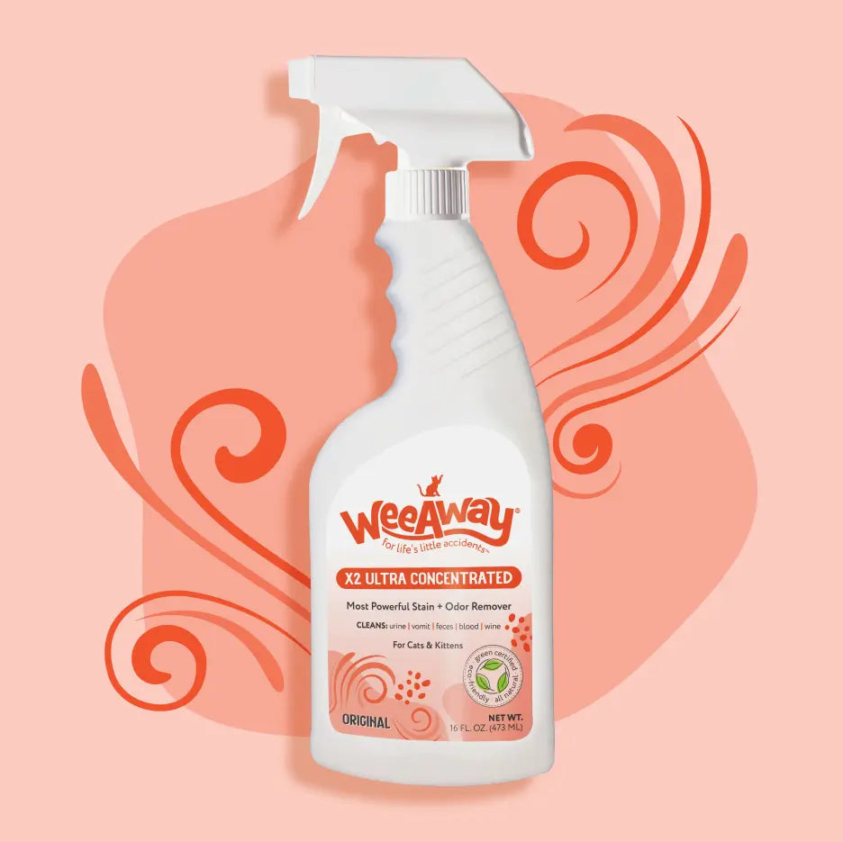 Wee Away X2 Ultra Concentrated Stain & Odor Remover For Cats & Kittens, Original 16oz