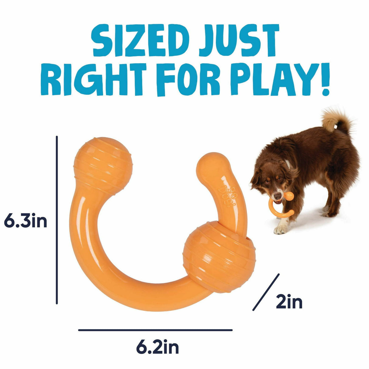 goDog Squeaks Durable Interactive Dog Toy, Looper