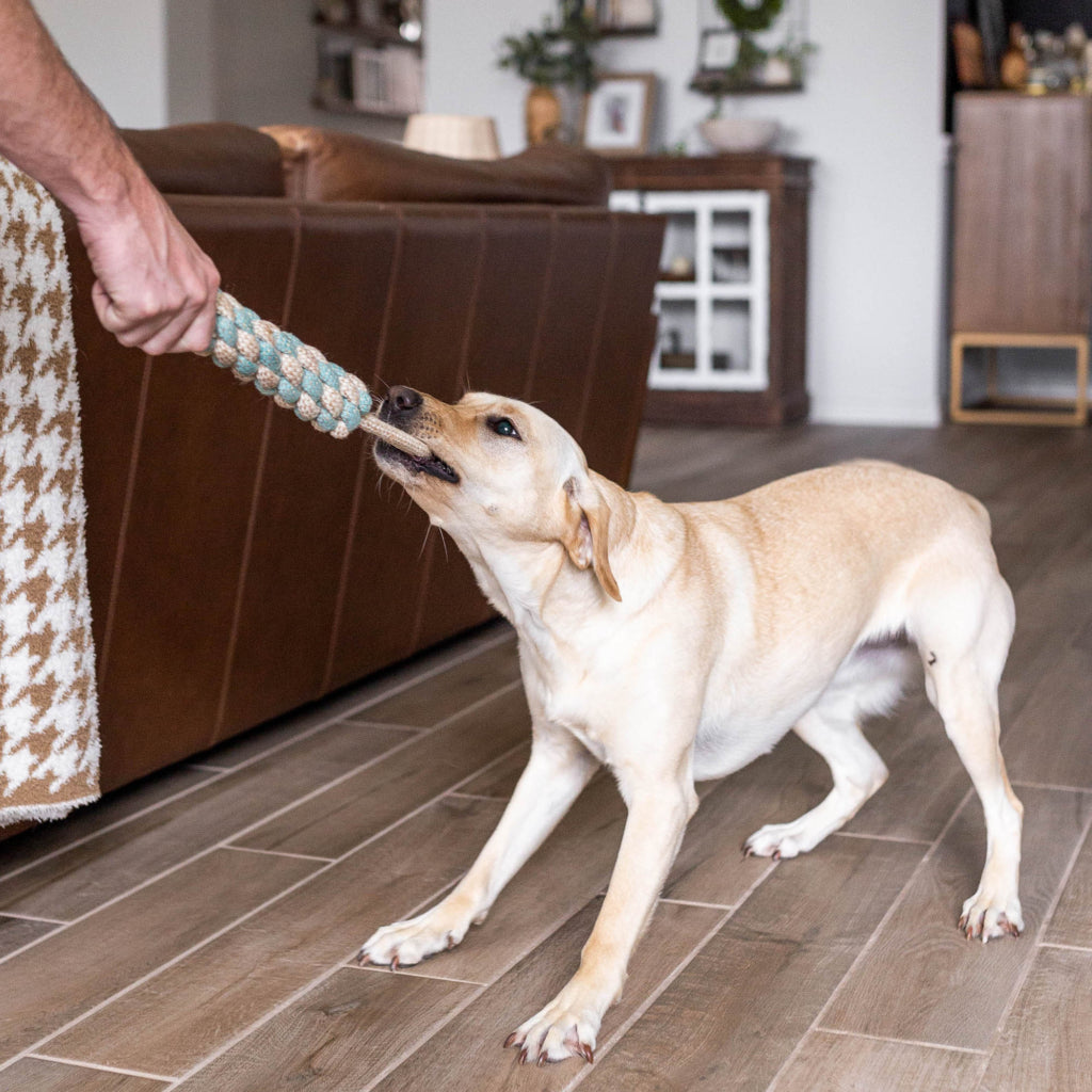 ZippyPaws ecoZippy Cotton & Jute Tug Rope Dog Toy