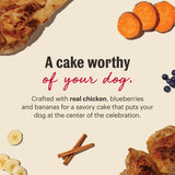 Honest Kitchen Birthday Cake Mix Chicken & Blueberry 7.5oz