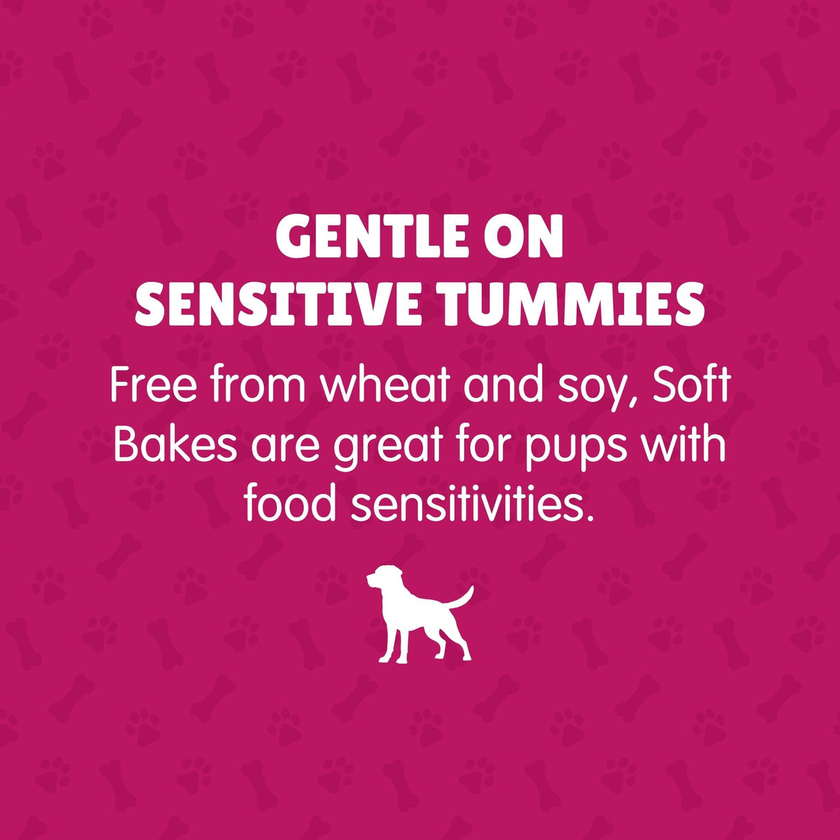 K9 Granola Factory Soft Bakes Dog Treats - Coconut Banana Bread