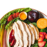 Goodness Gracious Human Grade Synthetic Free Turkey Recipe Gently Cooked Frozen Dog Food