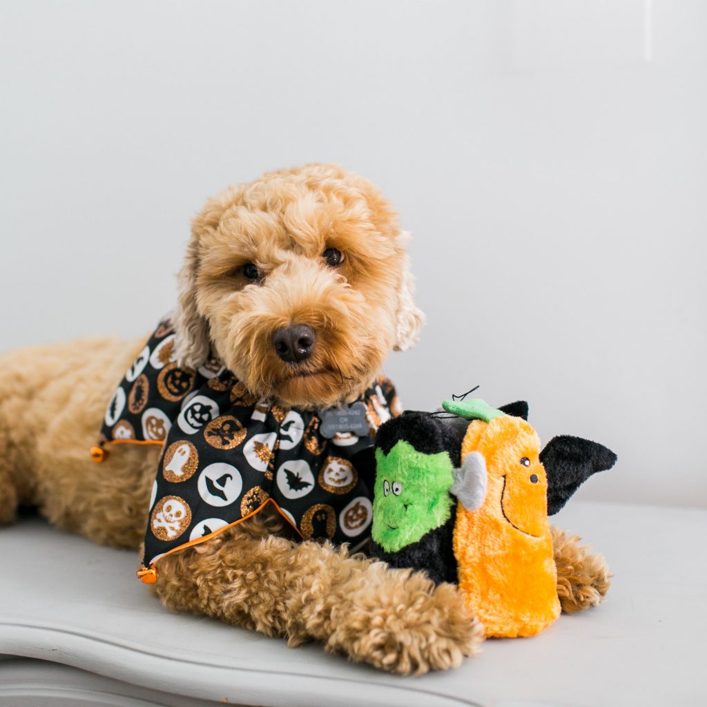 Zippy Paws Halloween 2025 Squeakie Buddies Plush Dog Toy, 3pk