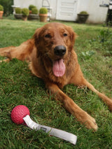 N GAGE Classic Handler Junior Interactive Rubber Dog Toy, Orange