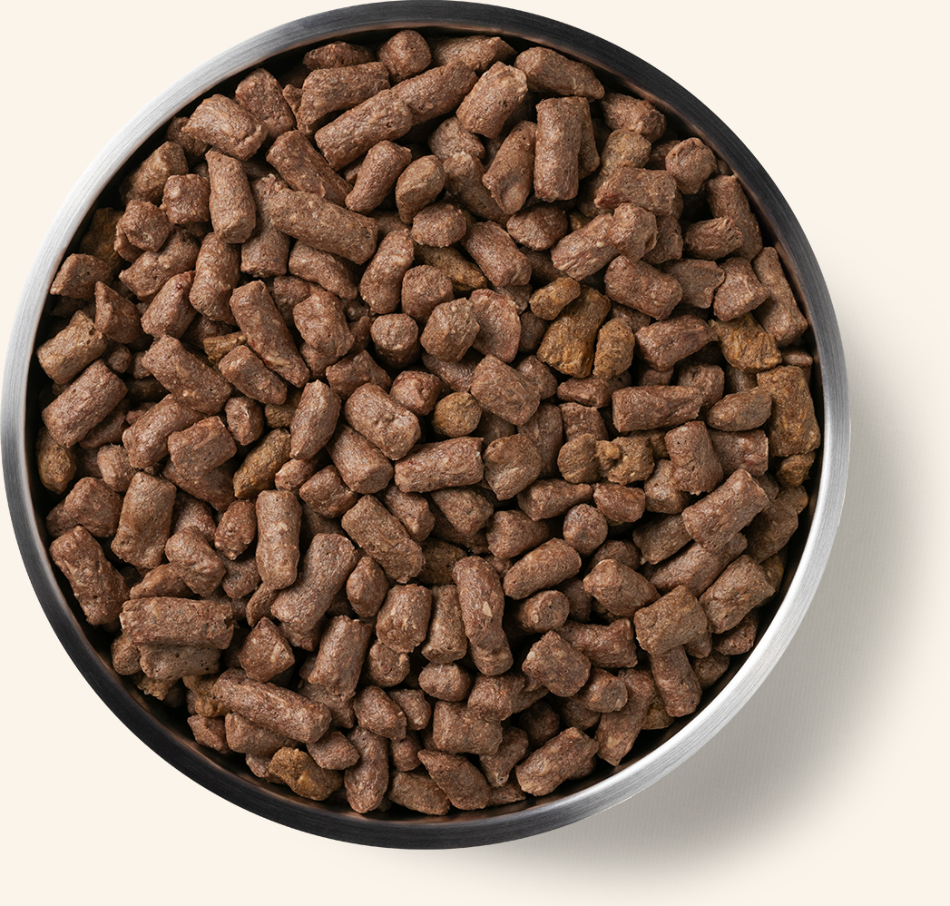 Vital Essentials Beef Mini Nibs Freeze Raw Dried Dog Food