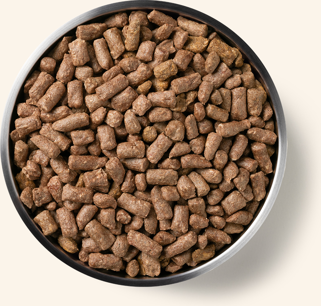 Vital Essentials Freeze-Dried Turkey Mini Nibs Dog Food