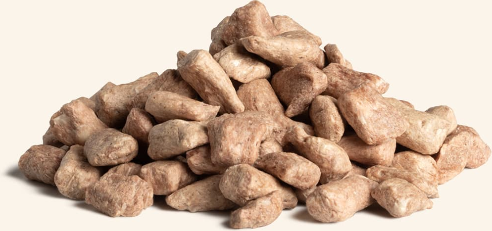 Vital Essentials Freeze-Dried Duck Bites Dog Treats