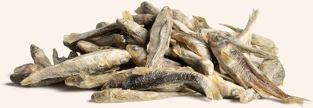 Dried minnows for cats hotsell