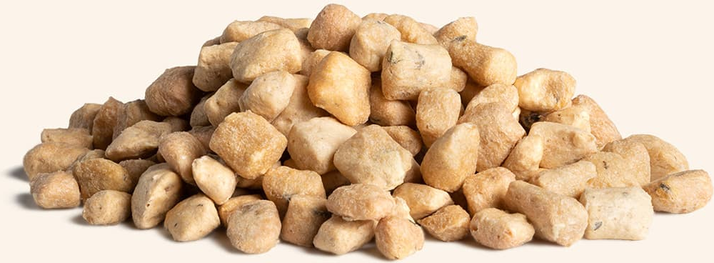 Vital Essentials Freeze-Dried Salmon Bites Dog Treats, 2.5-oz bag
