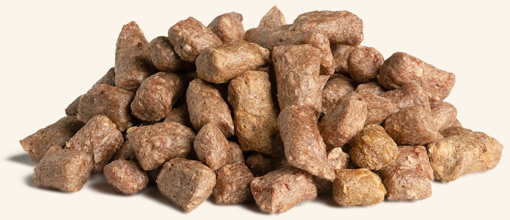 Vital Essentials Beef Mini Nibs Freeze Raw Dried Dog Food