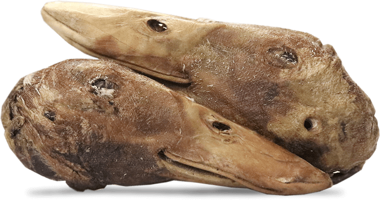Vital Essentials Freeze Dried Duck Heads Dog Treats, 20ct