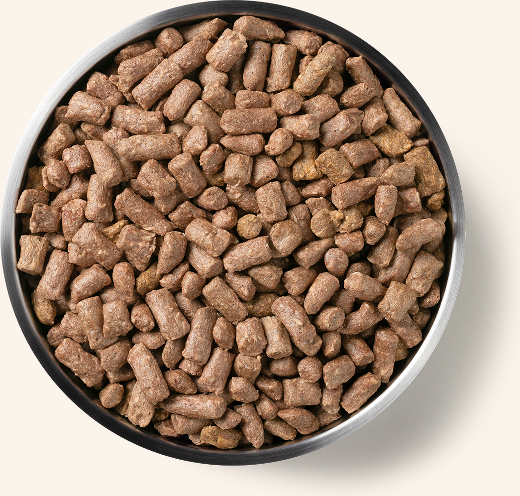 Vital Essentials Chicken Mini Nibs Freeze Dried Raw Dog Food