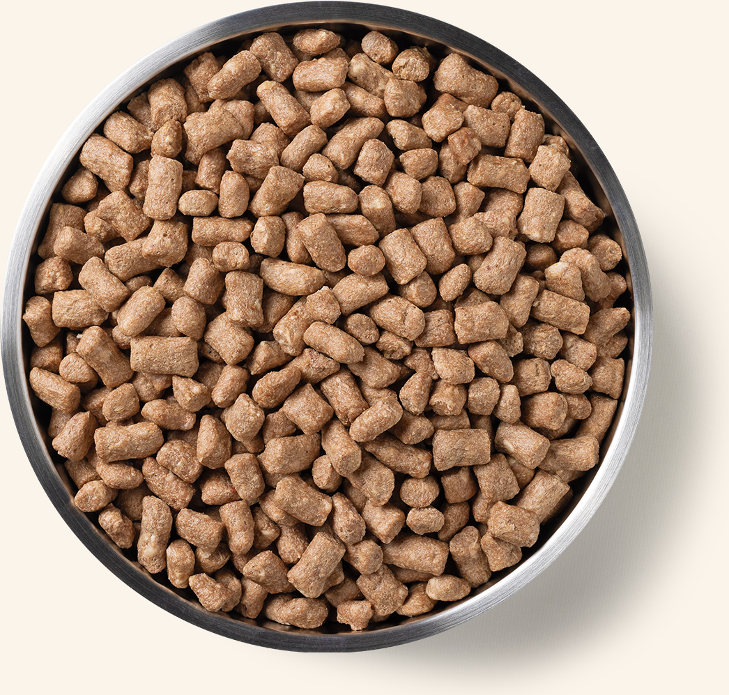 Vital Essentials Rabbit Mini Nibs Freeze Dried Raw Dog Food