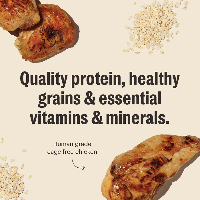 The Honest Kitchen Essentials Whole Food Clusters Whole Grain Chicken Recipe Dry Dog Food
