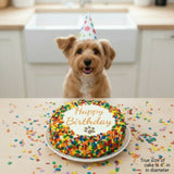 Dog Cake on table with birthday dog in the background.