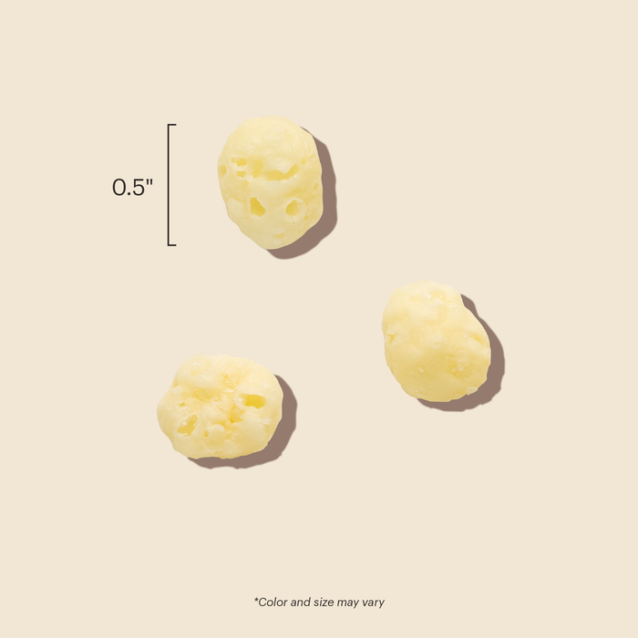 The Honest Kitchen Cheese Bites Gouda Recipe Dog Treats, 2oz