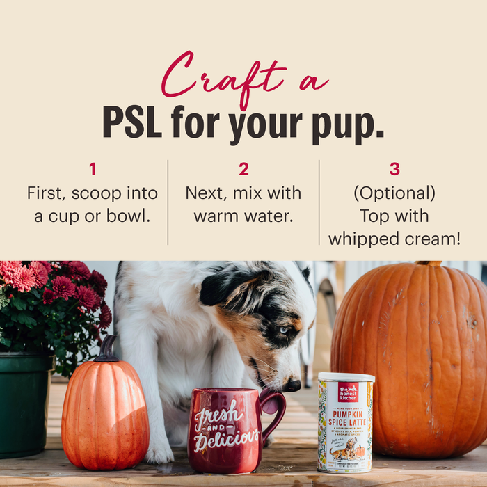 The Honest Kitchen Pumpkin Spice Latte Supplement For Dogs, 4oz