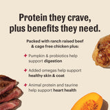 The Honest Kitchen Protein Plus Whole Food Clusters Grain Free Beef & Chicken Recipe Dry Dog Food