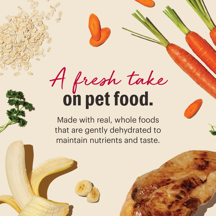 The Honest Kitchen Wholemade Whole Grain Chicken Dehydrated Dog Food