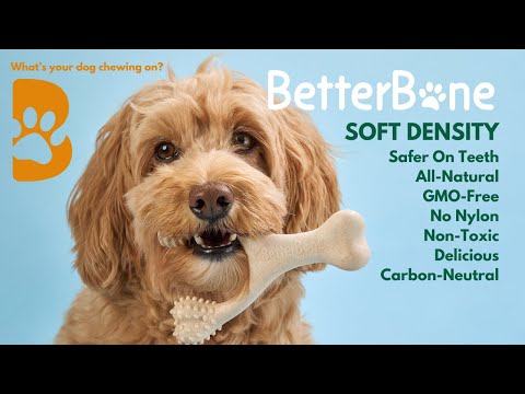 BetterBone Soft Density Beef Flavored Dental Chew Toy For Dogs