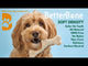 BetterBone Soft Density Beef Flavored Dental Chew Toy For Dogs