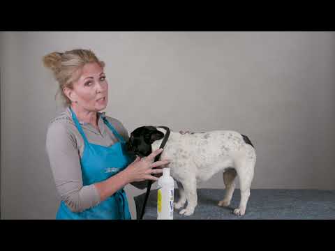 Chris Christensen White On White Whitening Treatment Shampoo For Dogs