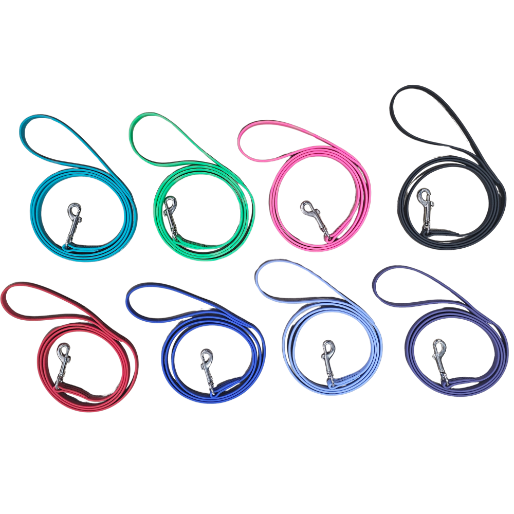 WDB Biothane Dog Leash with Snap, 3/8" x 6ft