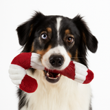 Petlou Holiday 2025 Candy Cane Plush Dog Toy, 16"