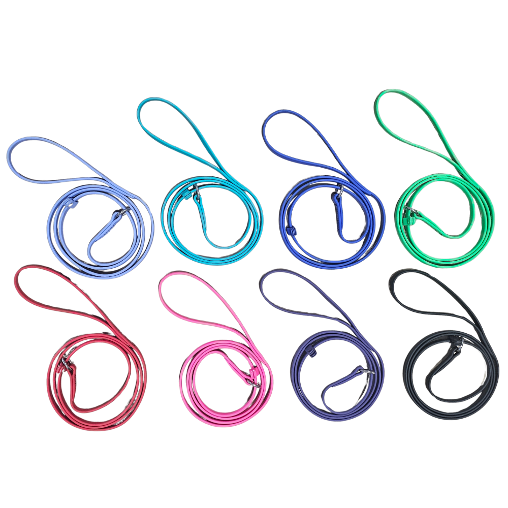 WDB Biothane Dog Slip Leash, 1/2" x 6ft