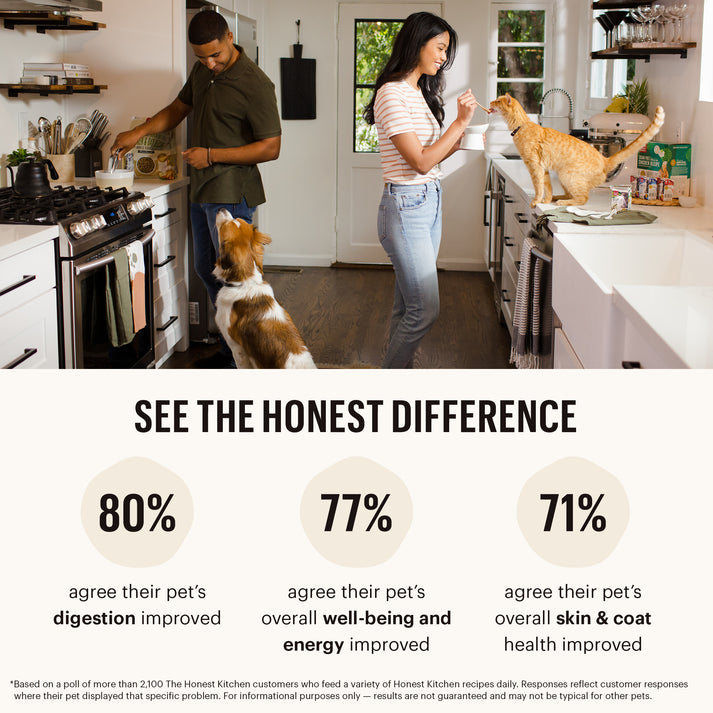 The Honest Kitchen Gourmet Grains Turkey & Whitefish Recipe Dehydrated Dog Food, 4lb