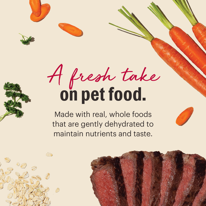 The Honest Kitchen Wholemade Whole Grain Beef Dehydrated Dog Food