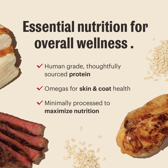 The Honest Kitchen Essentials Whole Food Clusters Whole Grain Beef & Chicken Recipe Dry Dog Food