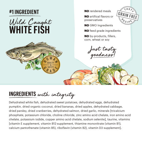 The Honest Kitchen Grain Free Fish Recipe Dehydrated Dog Food, 4lb