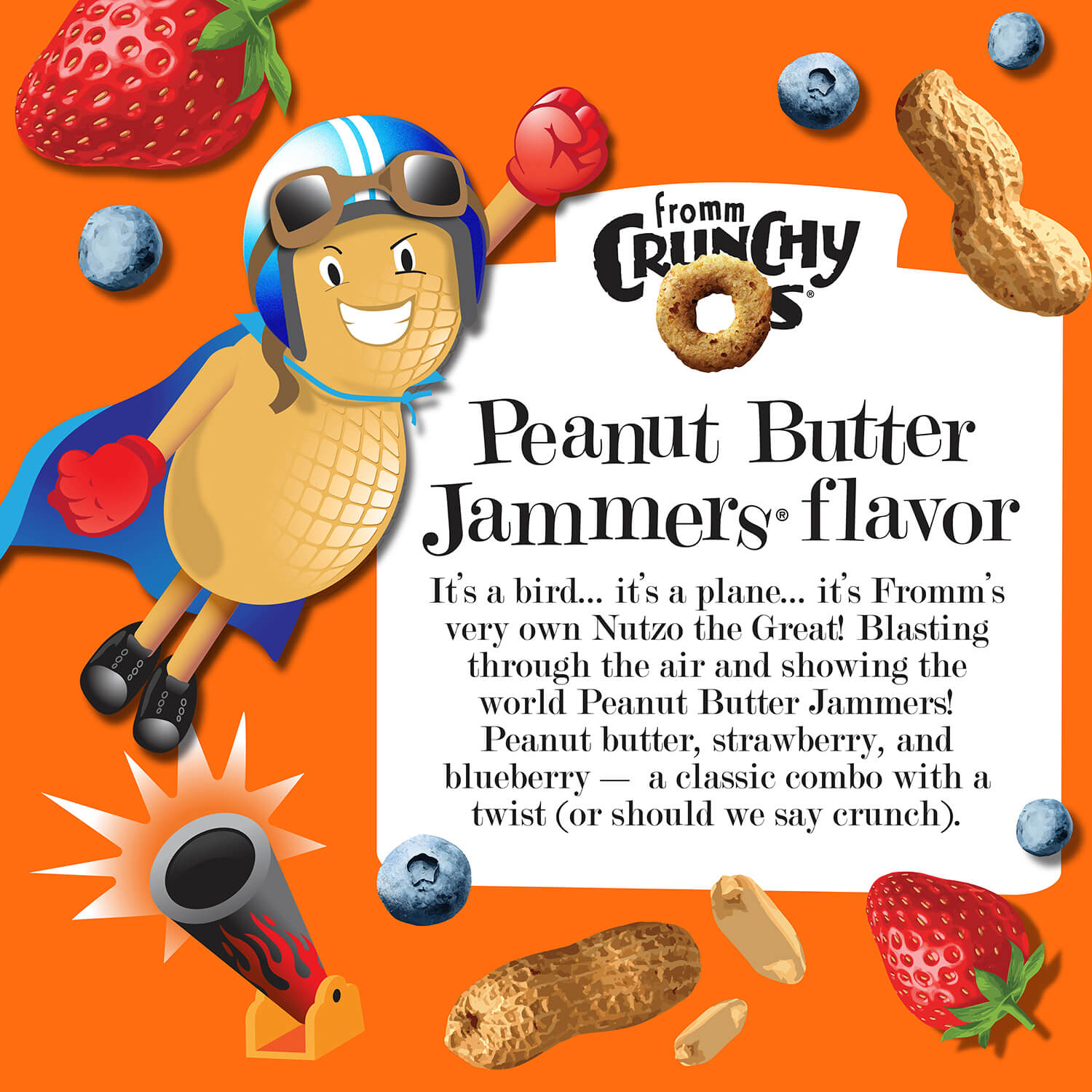 Fromm Crunchy Os Peanut Butter Jammers Flavored Dog Treats