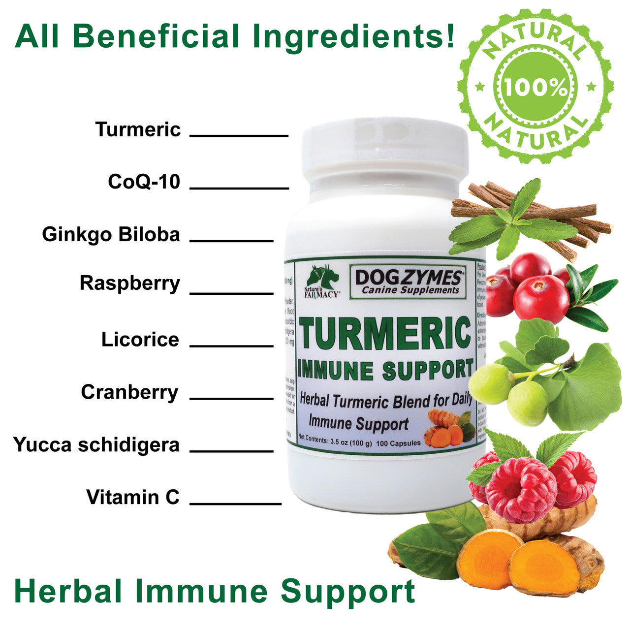 Nature's Farmacy Dogzymes Turmeric Immunity Support Capsule for Dogs, 100ct