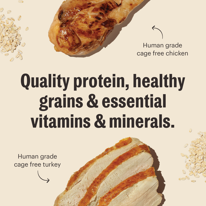 The Honest Kitchen Essentials Whole Food Clusters Whole Grain Turkey & Chicken Recipe Dry Dog Food