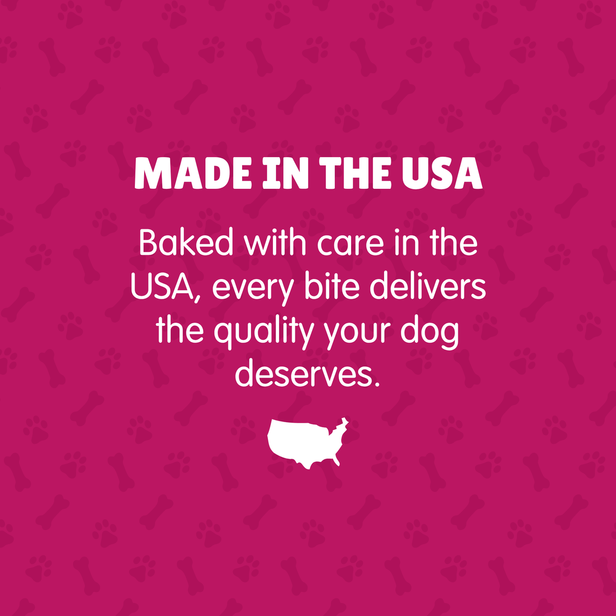 K9 Granola Factory Soft Bakes Dog Treats - Coconut Banana Bread