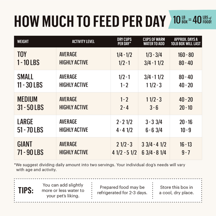 The Honest Kitchen Whole Grain Fish & Oats Recipe Dehydrated Dog Food