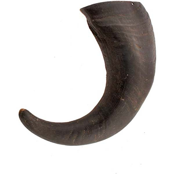 Premium Buffalo Horn Dog Chew, Small/15ct Value Size
