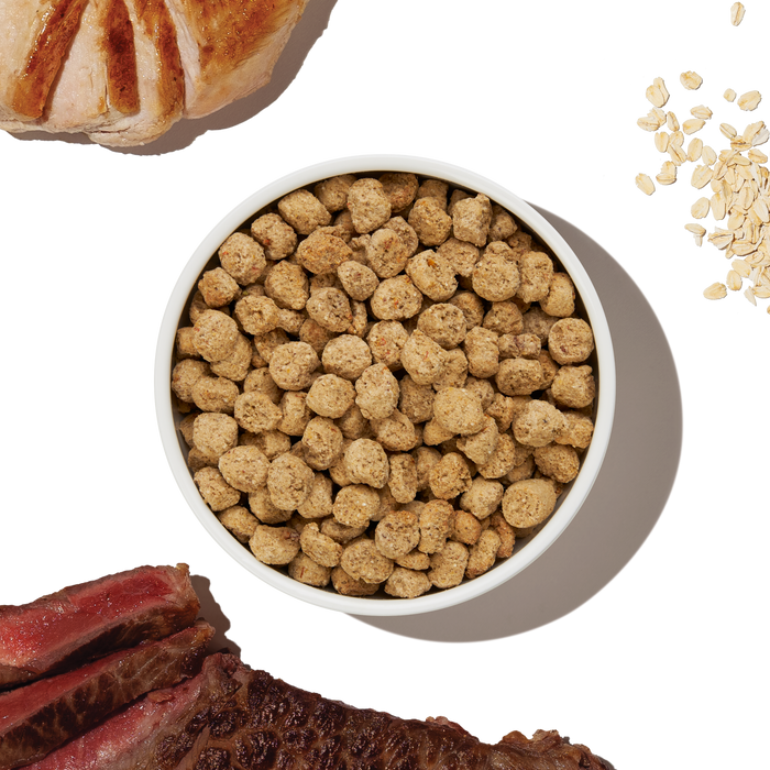The Honest Kitchen Essentials Whole Food Clusters Whole Grain Turkey & Chicken Recipe Dry Dog Food