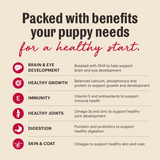 The Honest Kitchen Whole Grain Beef, Oat & Salmon Puppy Recipe Dehydrated Dog Food