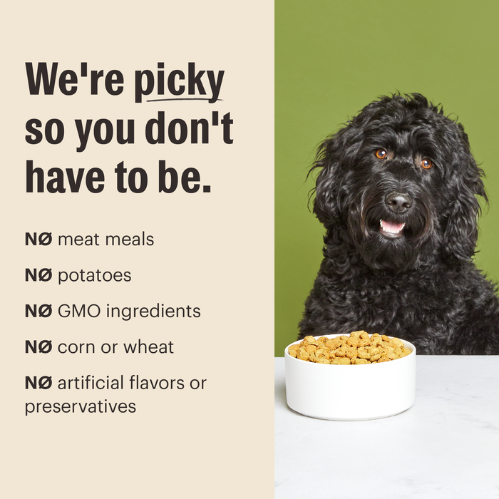 The Honest Kitchen Essentials Whole Food Clusters Whole Grain Beef & Chicken Recipe Dry Dog Food