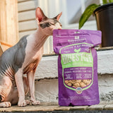 Stella & Chewy's Solutions Digestive Boost Chicken Morsels Freeze Dried Cat Food, 7.5oz