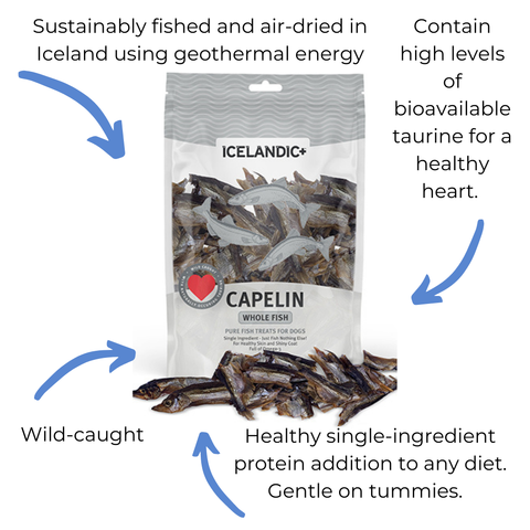 Icelandic+ Capelin Fish Crunchy Dog Treats