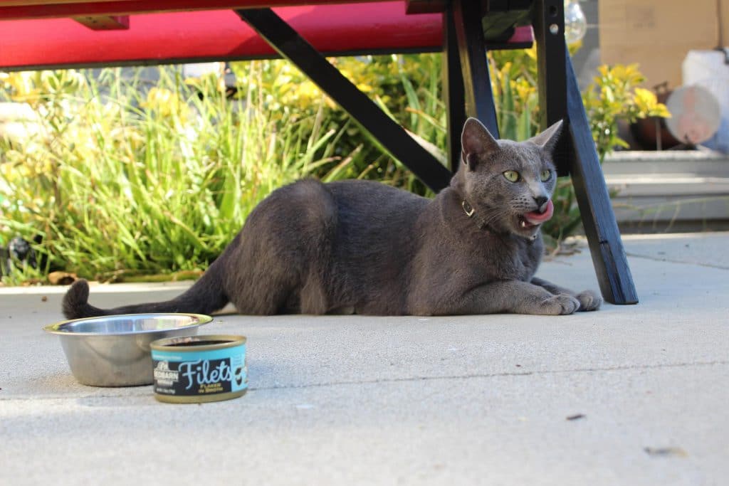 Redbarn Tuna & Turkey Filet Canned Cat Food, 12/2.8oz